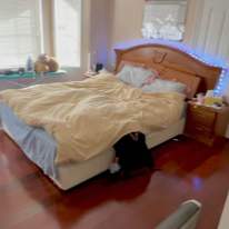Photo of Darlene's room