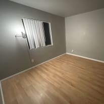 Photo of Sabre's room
