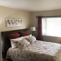 Photo of Amanda's room
