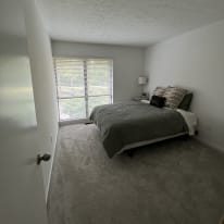 Photo of paige's room