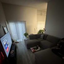 Photo of Ezzy's room