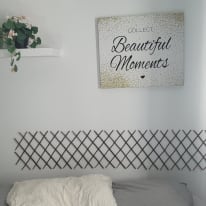 Photo of andy's room