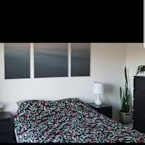 Photo of Izzy's room's room