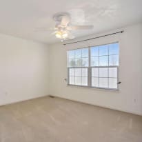 Photo of ROOM_FOR_RENT's room