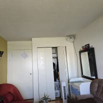 Photo of Sunny's room