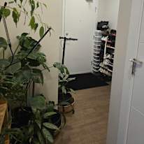 Photo of Angie's room