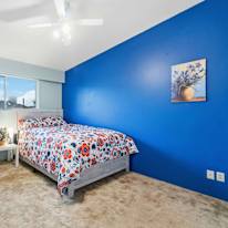 Photo of Elham's room