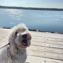 Photo of Cheryl's room