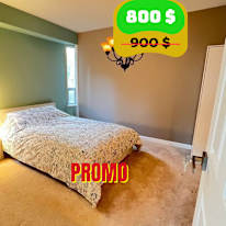 Photo of Shirin's room