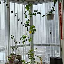 Photo of Arunava's room