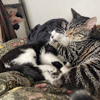 Photo of Callie's room