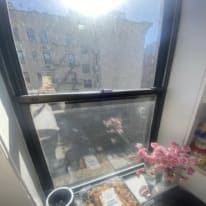 Photo of Zaheen Fatima's room