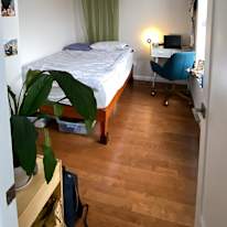 Photo of Anika's room