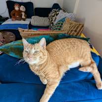 Photo of Amy's room