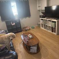 Photo of Kaylee's room
