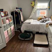 Photo of Frankia's room