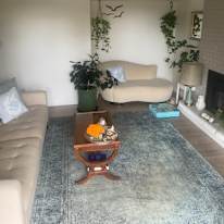 Photo of kate's room