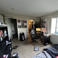 Photo of Louie's room