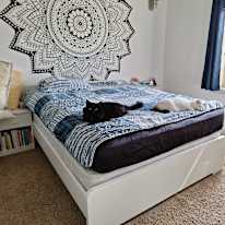 Photo of Marine's room