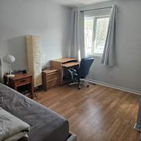 Photo of Mohit Nargotra's room