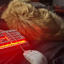 Photo of Brandon's room