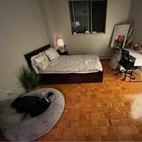 Mariya Anashkina's room