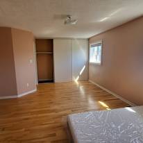 Photo of Jamar's room