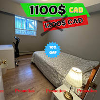 Photo of Shirin's room