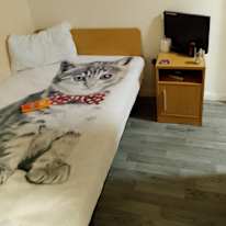 Photo of New user's room