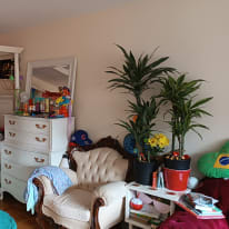 Photo of Olena's room