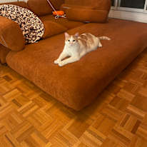 Photo of Sof Arechiga's room