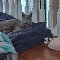 Photo of Michie's room