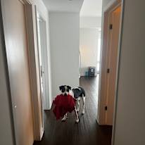 Photo of Farida's room