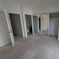 Photo of Nemo's room