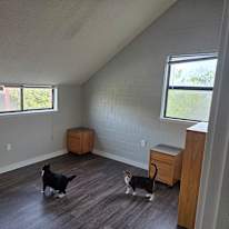 Photo of Corey's room