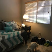 Photo of Nadya's room