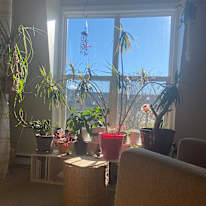 Photo of Karen's room