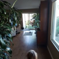 Photo of Nancee's room