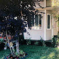 Photo of Tanika Burlie-Tanner's room