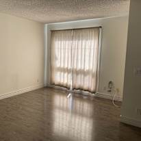 Photo of Cale Tamagi's room