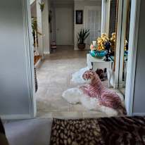 Photo of Ms Jay's room