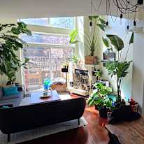Photo of Tazmine's room