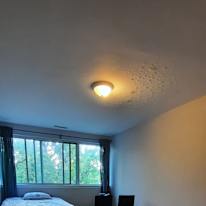 Photo of Joanne's room