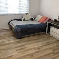 Photo of JC's room