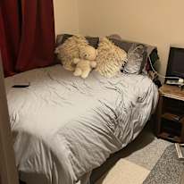Photo of alley rose's room