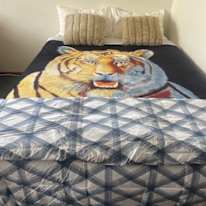 Photo of ZANE MACDONALD's room