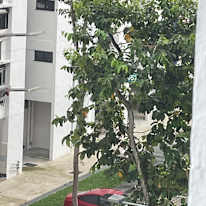 Photo of Vj's room