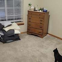 Photo of Thomas's room