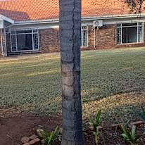 Photo of Fezile's room