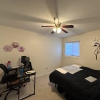 Photo of Pranav's room